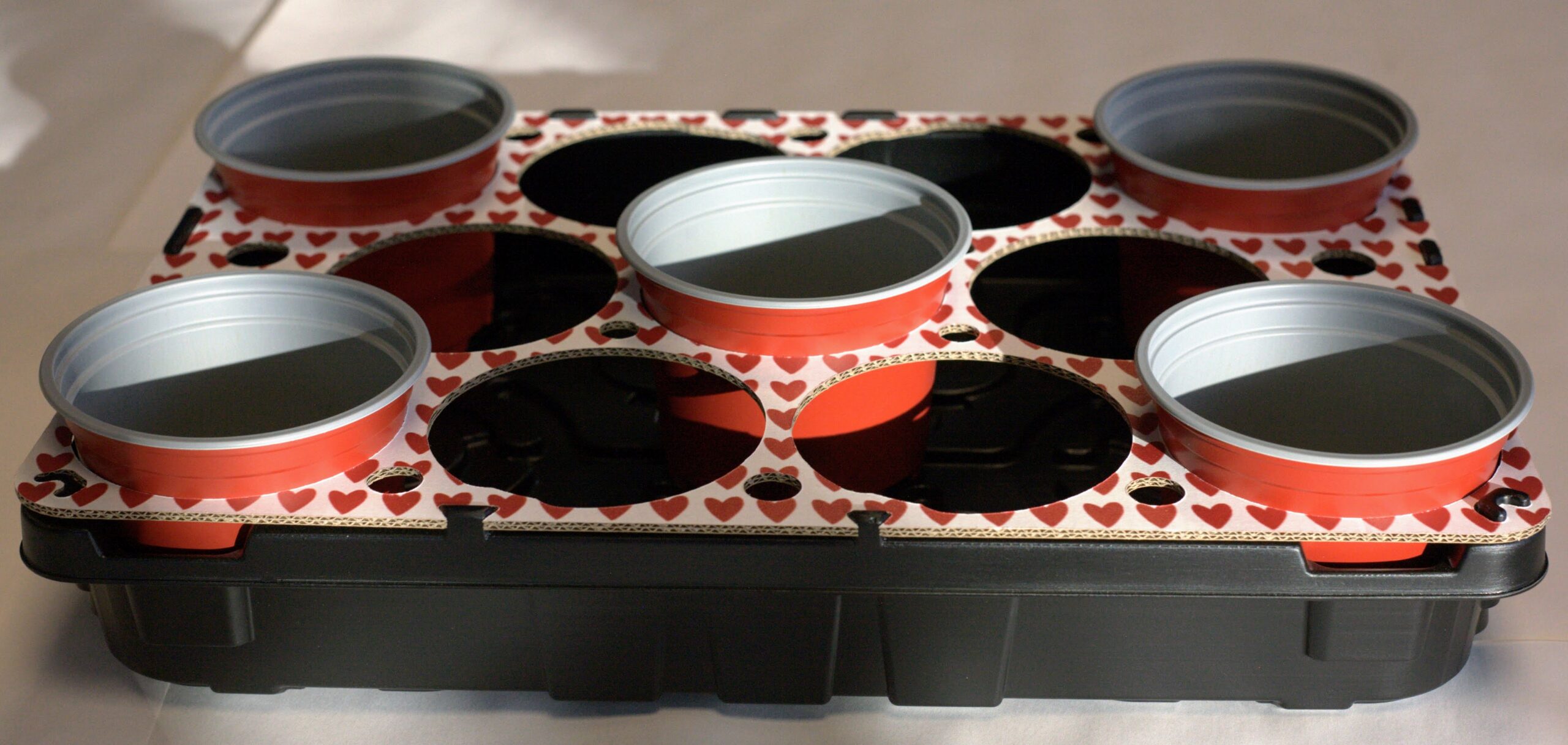 Tray Hartjes Modiform
