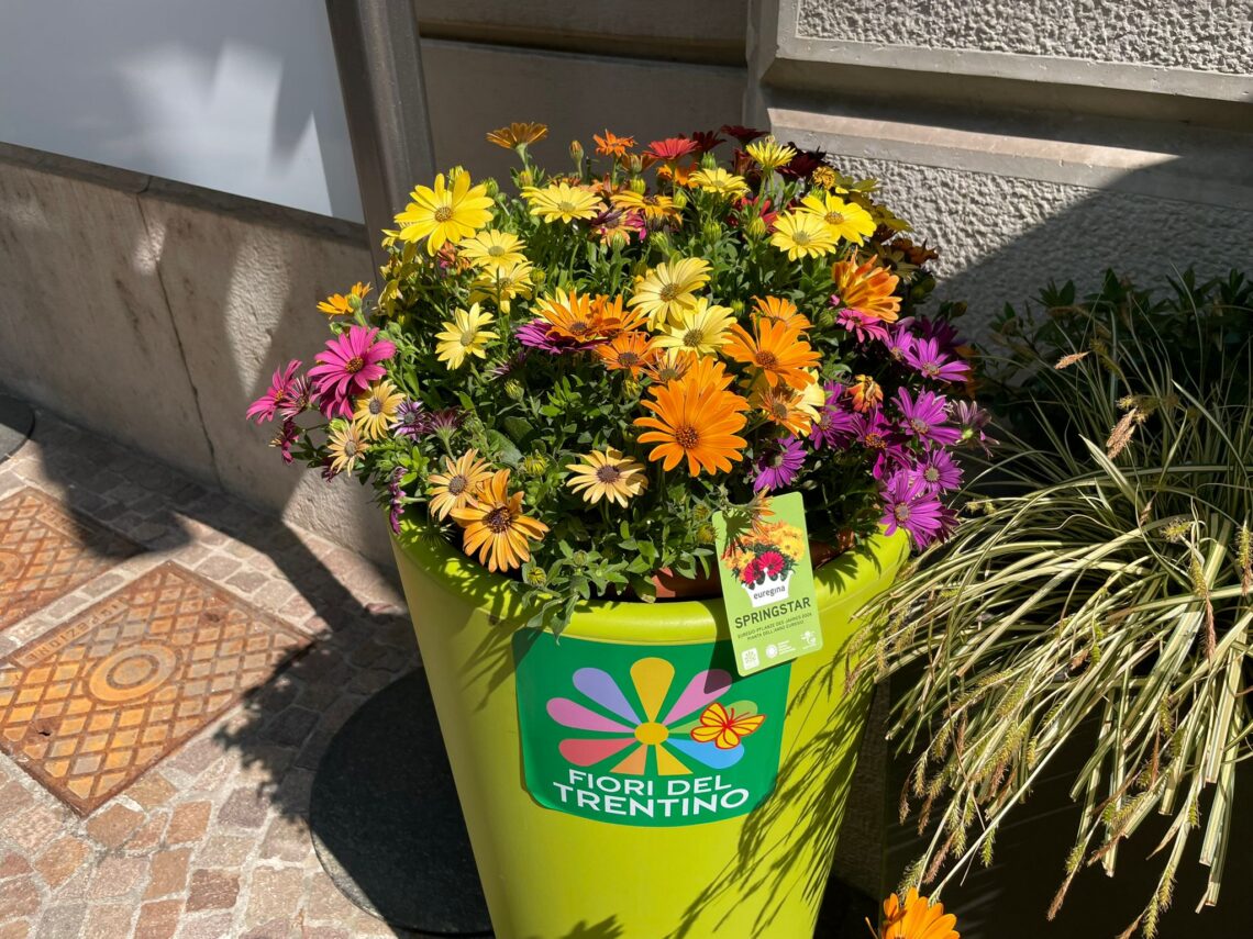 pianta Euregio 2026