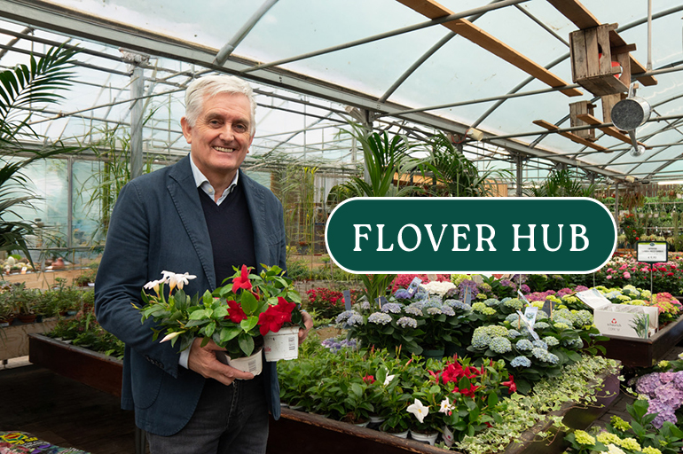 Silvano Girelli di Flover