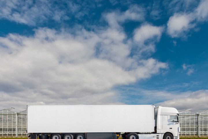Logistica e disponibilità: il vero vantaggio competitivo invisibile nel florovivaismo sta nel garantire vera affidabilità su tutta la filiera