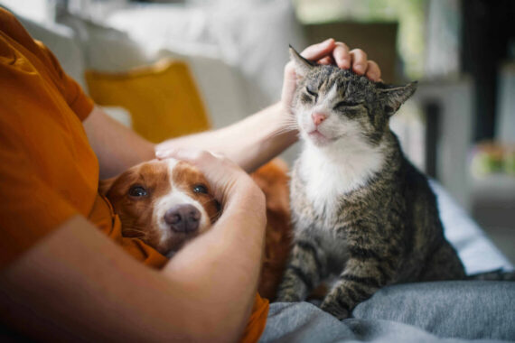 Pet parenting: quando cane e gatto diventano i nuovi “figli”