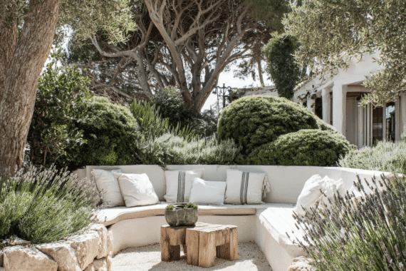 We Love Conifers porta Ibiza nel garden center